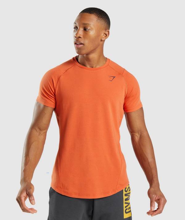 Panske Tricka Gymshark Bold Oranžové | DO8476103
